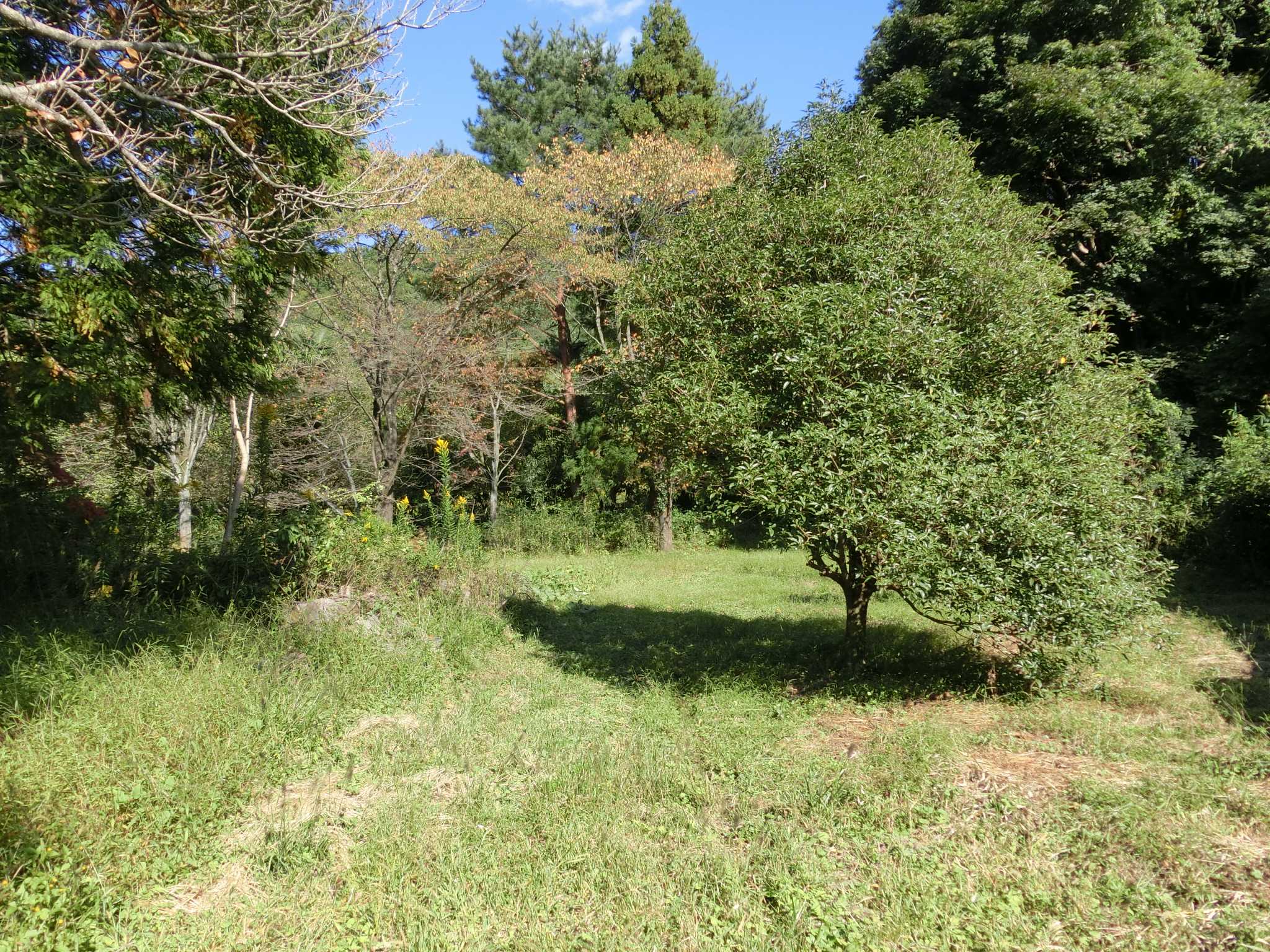 detached 桐生市川内町2丁目961-1