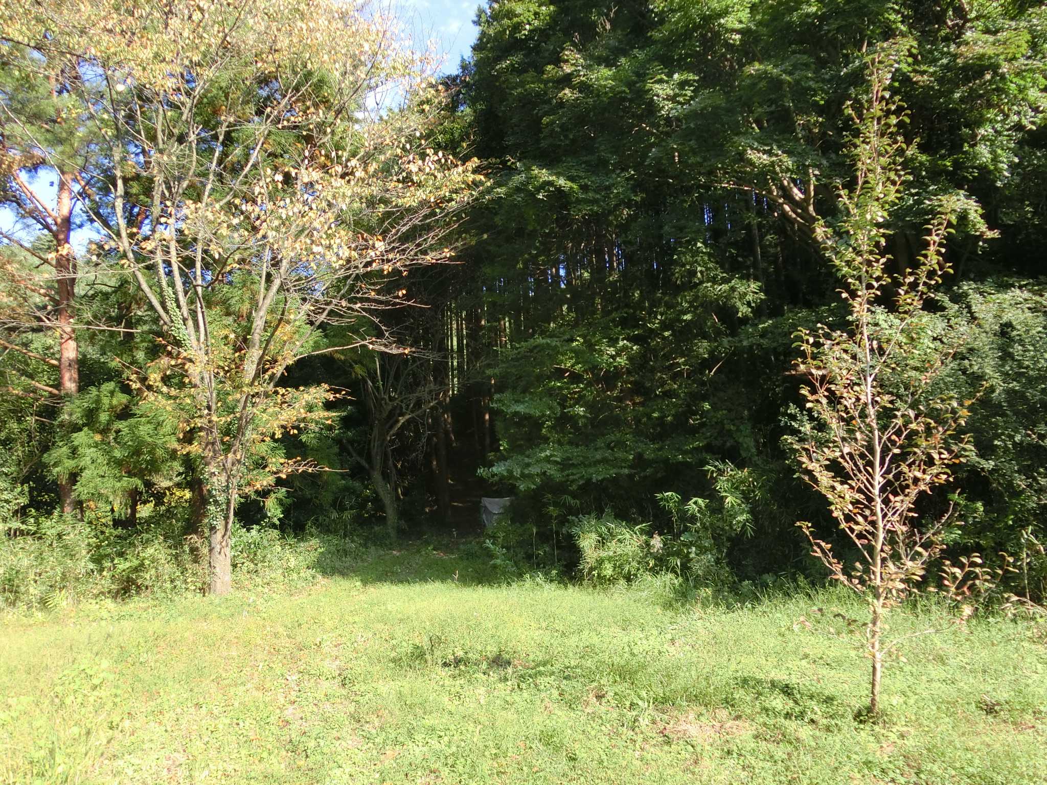 detached 桐生市川内町2丁目961-1