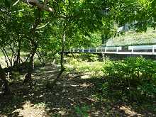  桐生市菱町2丁目