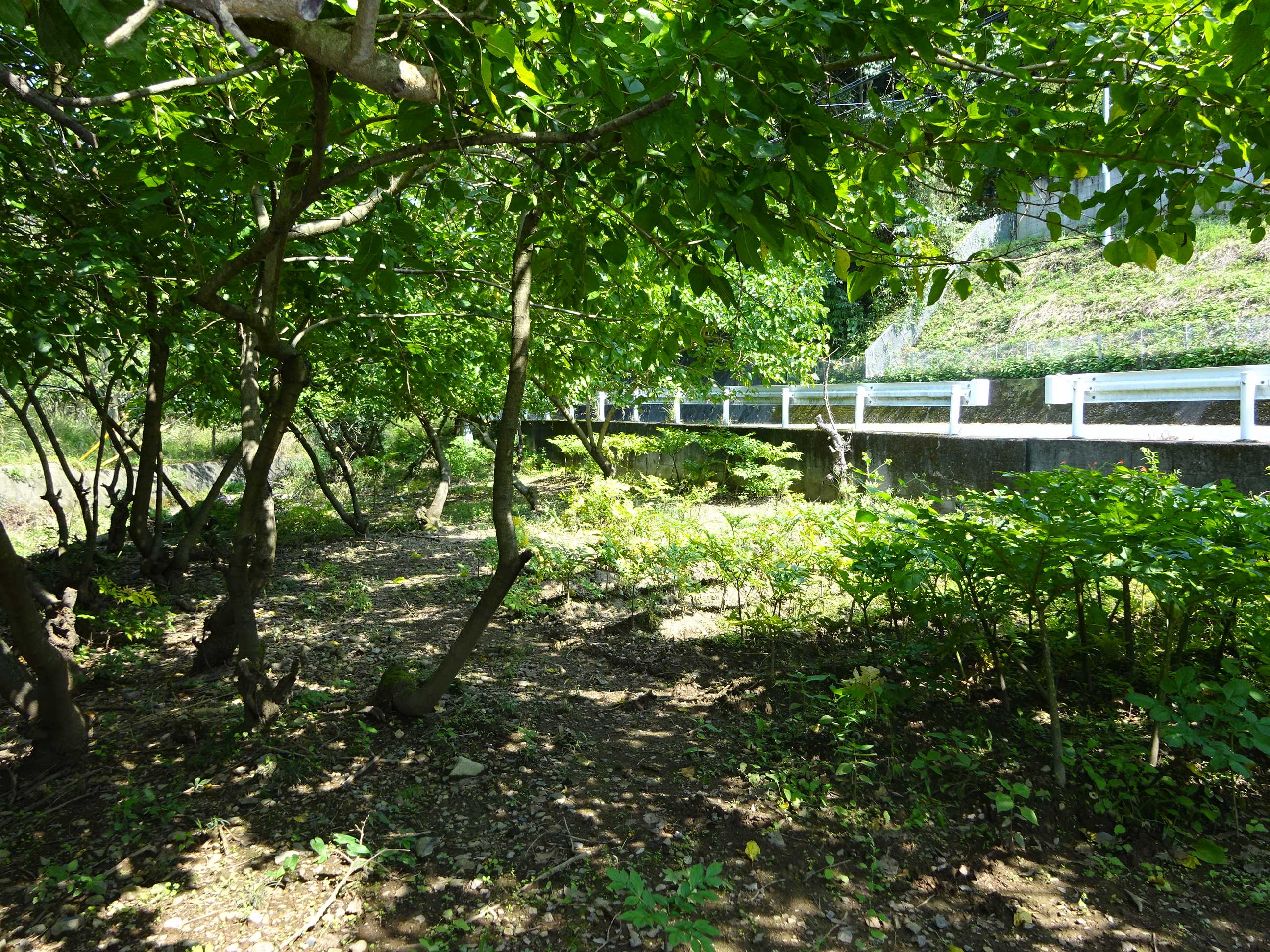  桐生市菱町2丁目