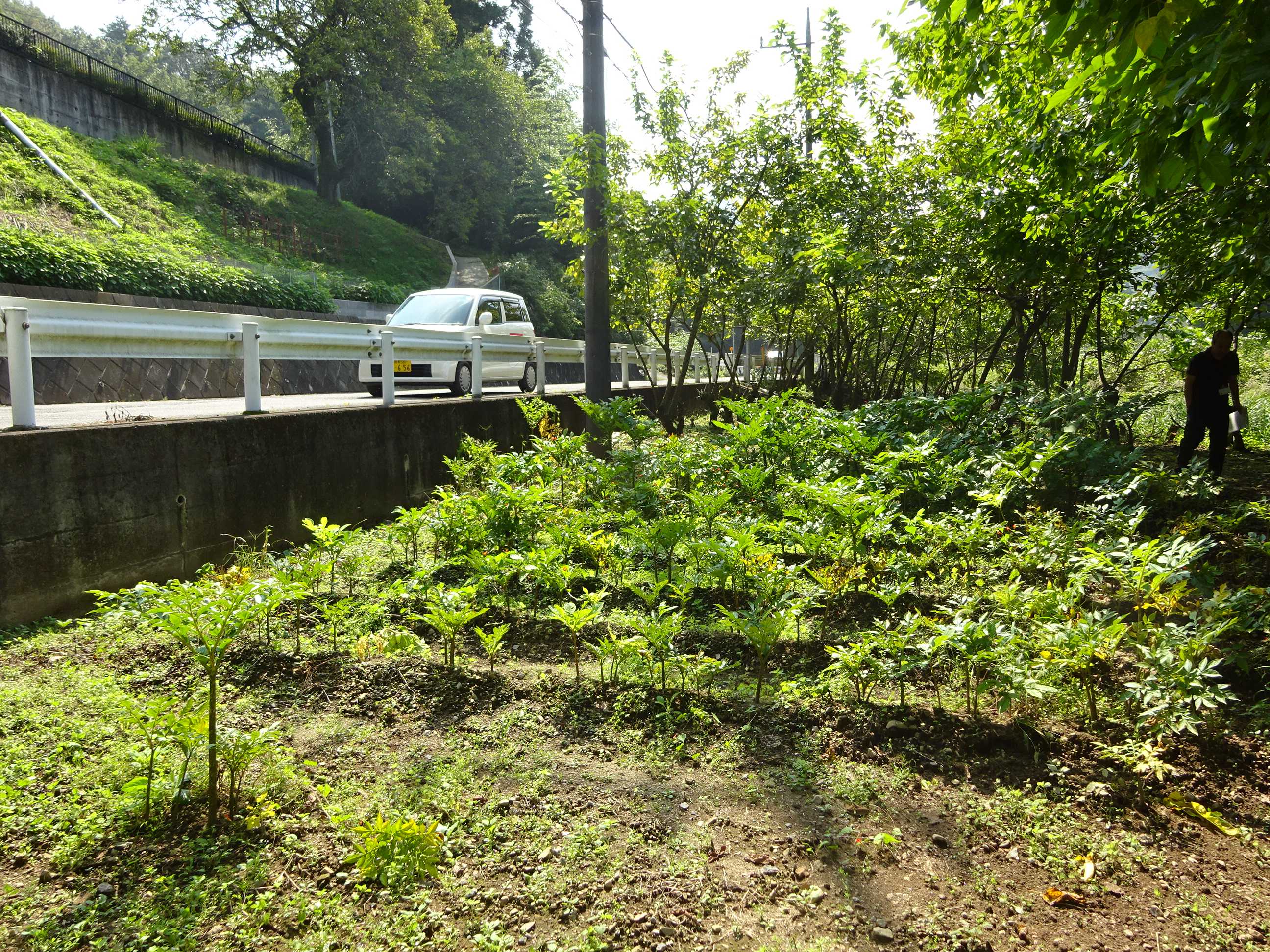  桐生市菱町2丁目