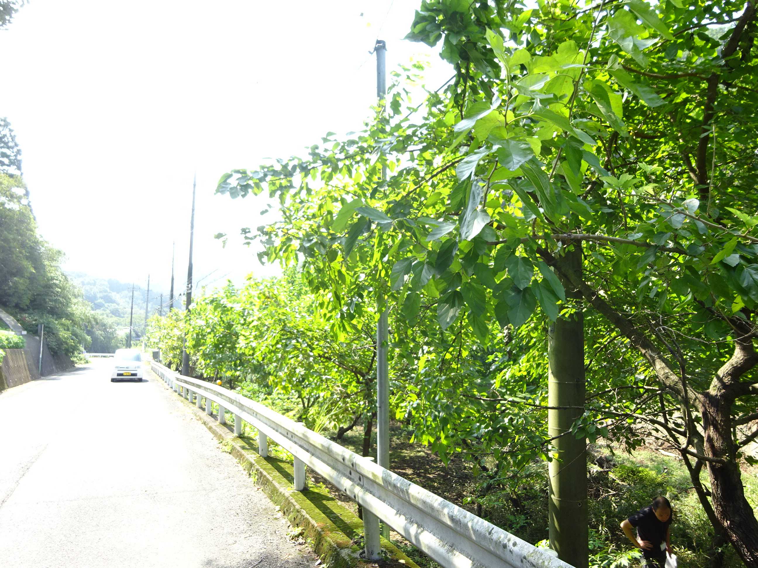  桐生市菱町2丁目