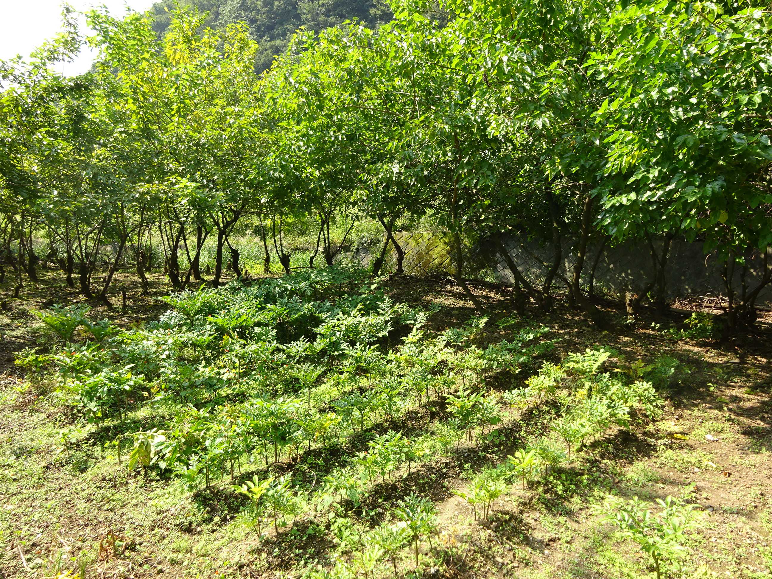  桐生市菱町2丁目